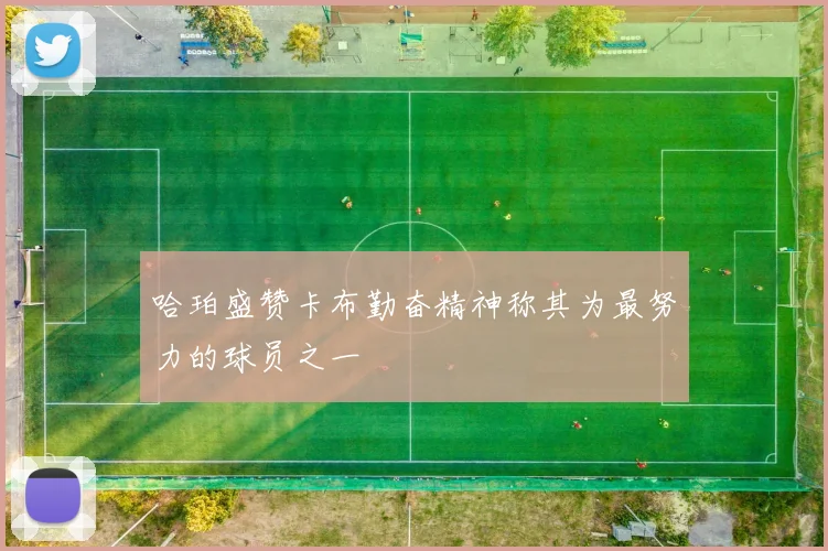 哈珀盛赞卡布勤奋精神称其为最努力的球员之一