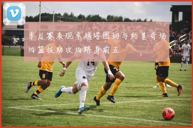 季后赛表现卓越塔图姆与约基奇场均篮板助攻均跻身前五